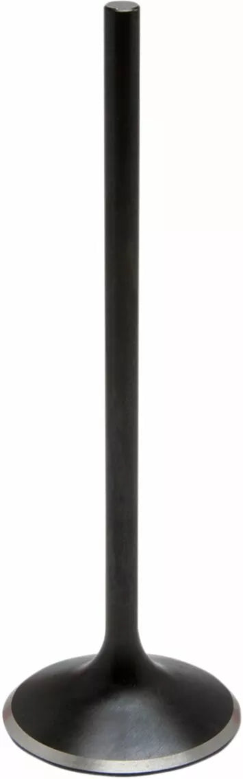 KibbleWhite Valve in M8 17+ 1,732 20-21019