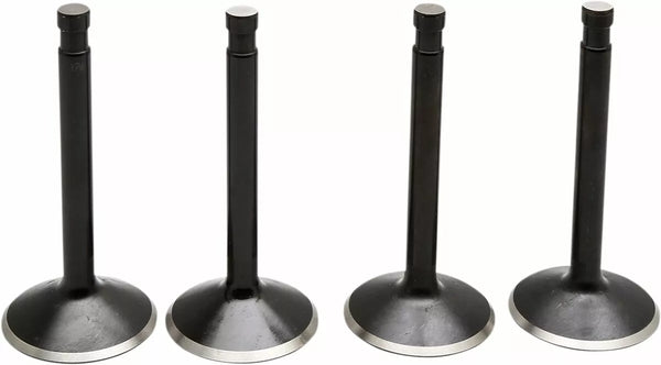 KibbleWhite Valve Kit Panhead 20-22100