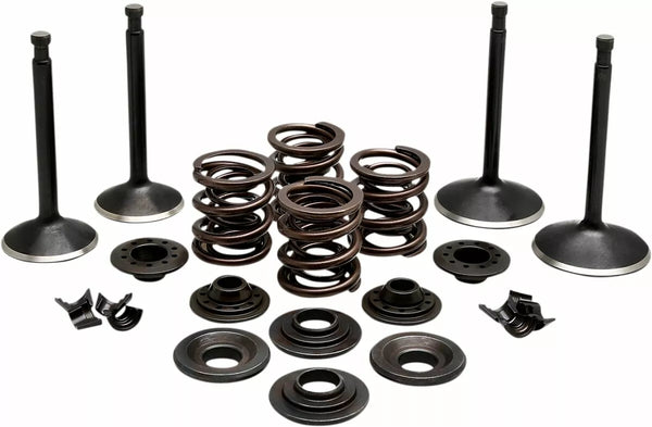KibbleWhite Engine Kit XL 57-69 20-22250