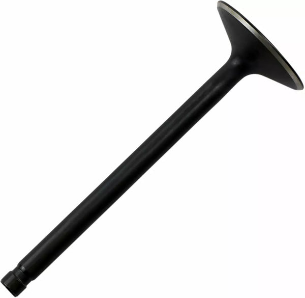 KibbleWhite Nitr Int Val 86-03 XL 883 20-20090