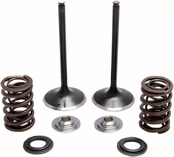 KibbleWhite Spring KT Int TRX450R 04-30-33200