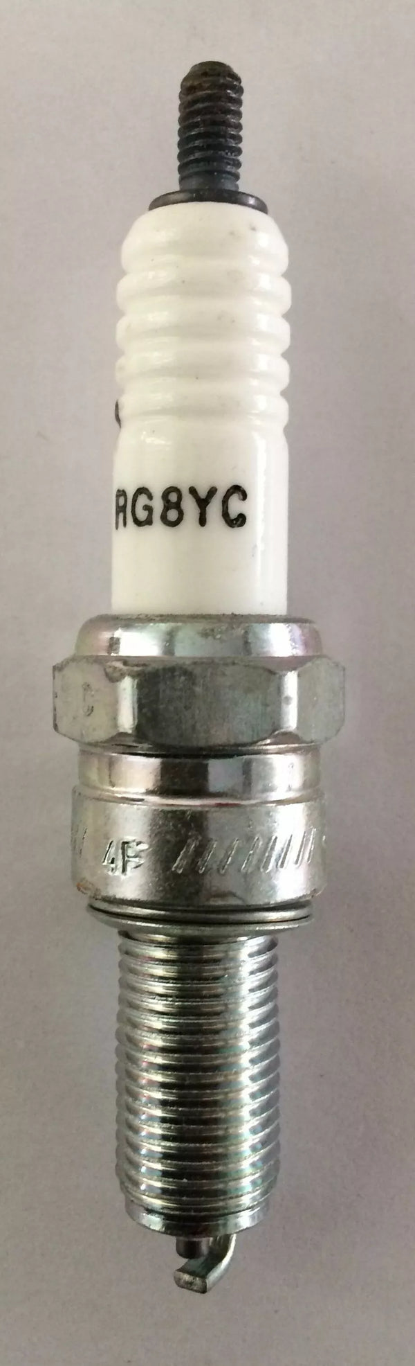 Čempiona čempions S-spraudnis RG8YC CCHRG8YC-ES