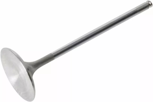 KibbleWhite Intake Valve KLX250/300 40-4372h