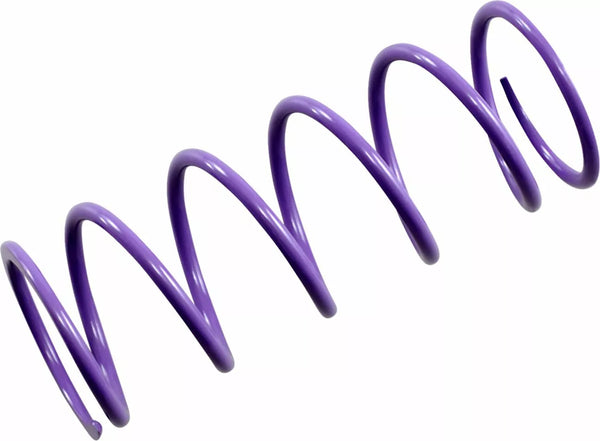 Epi Spring Primary Purple Patv4